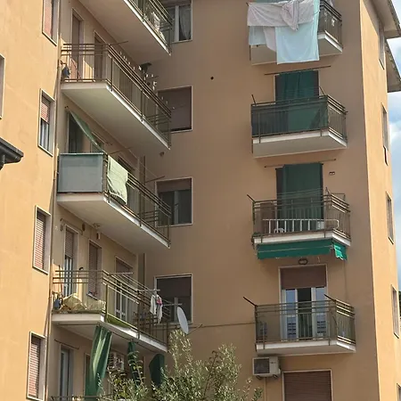 Ed's Rooftop