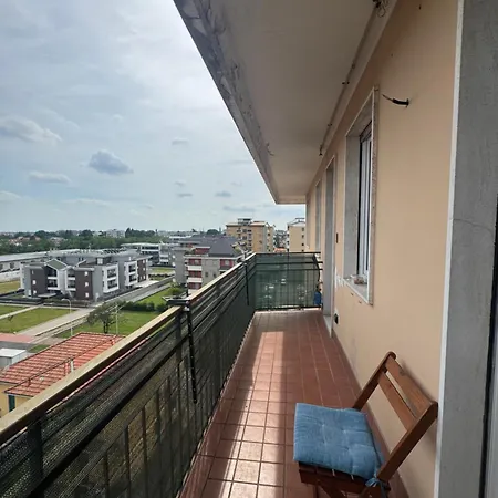 Ed's Rooftop